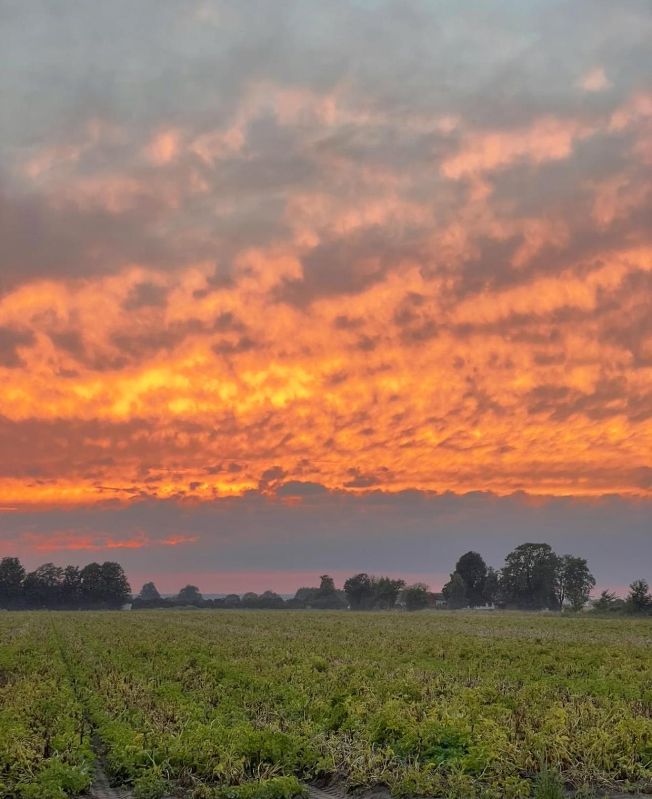 Lunagarden Åhus Esterno foto